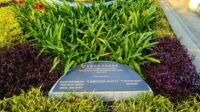 Taman Vanda