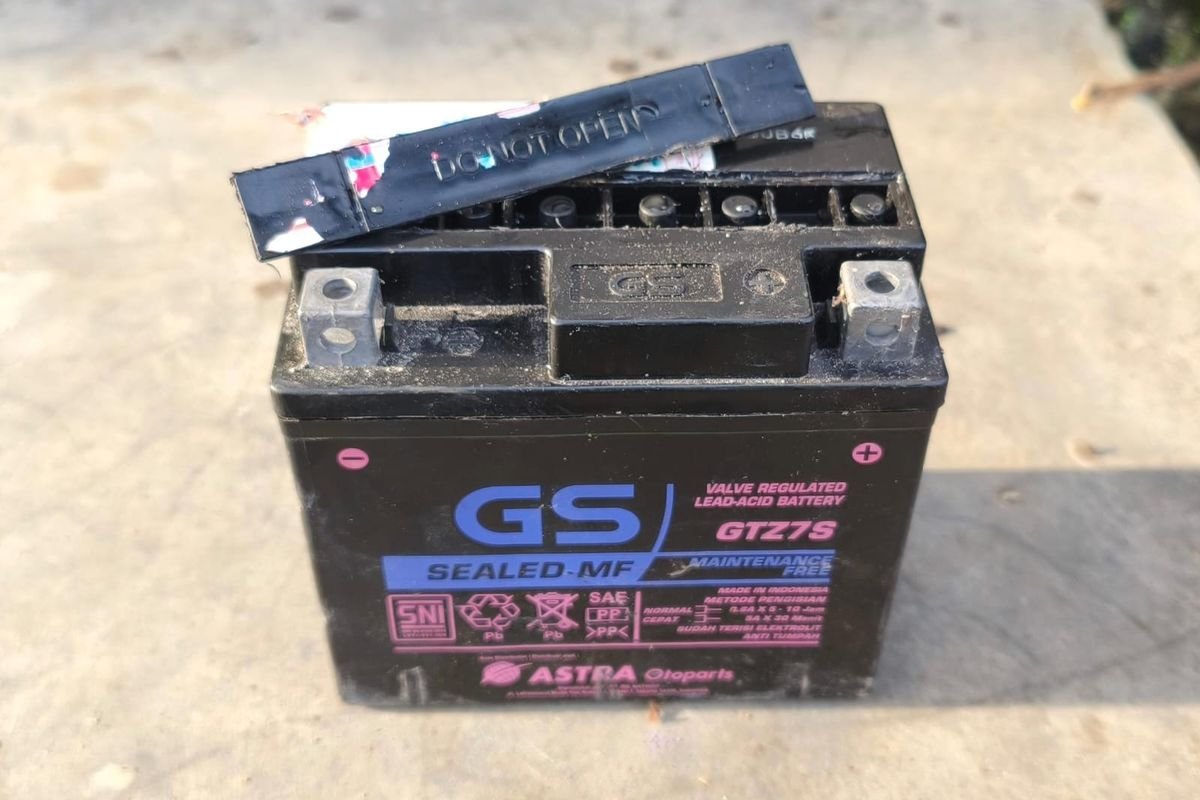 Motor